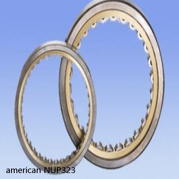 american NUP323 SINGLE ROW CYLINDRICAL ROLLER BEARING