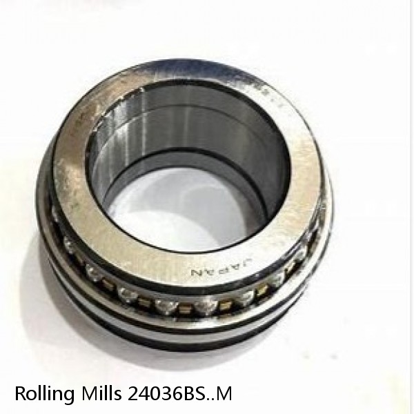 24036BS..M Rolling Mills Sealed spherical roller bearings continuous casting plants #1 small image