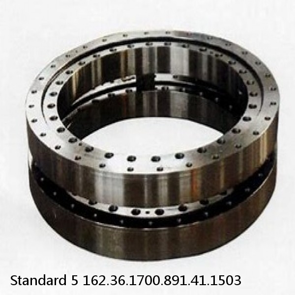 162.36.1700.891.41.1503 Standard 5 Slewing Ring Bearings #1 small image