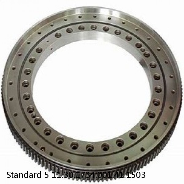 11.30.1734.001.41.1503 Standard 5 Slewing Ring Bearings