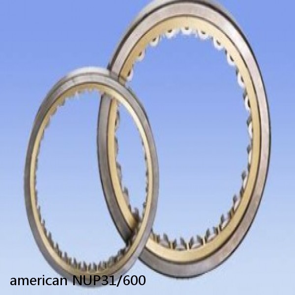 american NUP31/600 SINGLE ROW CYLINDRICAL ROLLER BEARING #1 small image