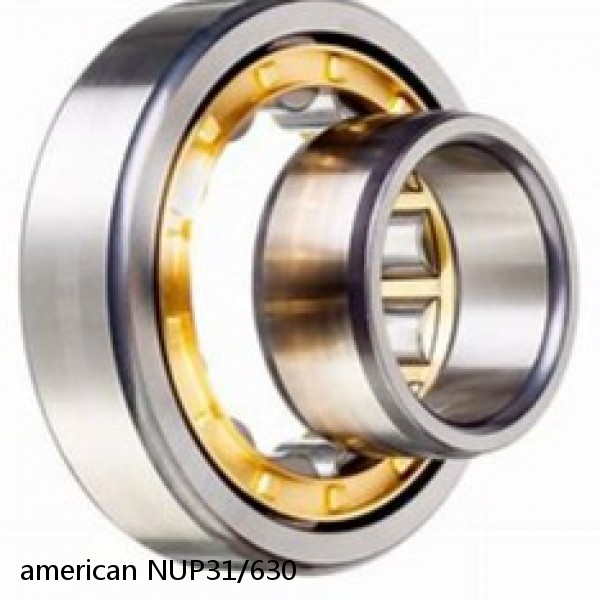american NUP31/630 SINGLE ROW CYLINDRICAL ROLLER BEARING