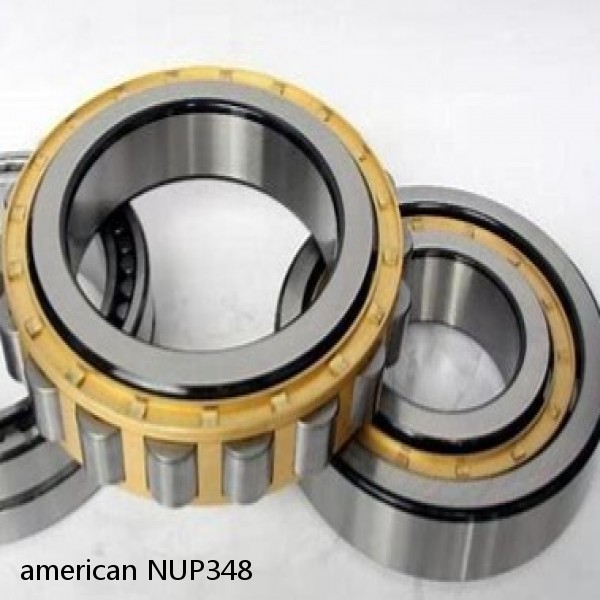 american NUP348 SINGLE ROW CYLINDRICAL ROLLER BEARING