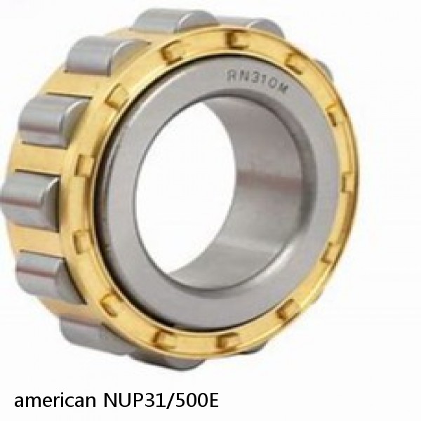american NUP31/500E SINGLE ROW CYLINDRICAL ROLLER BEARING #1 image