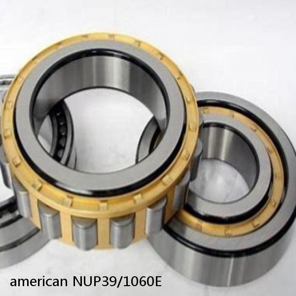 american NUP39/1060E SINGLE ROW CYLINDRICAL ROLLER BEARING #1 image