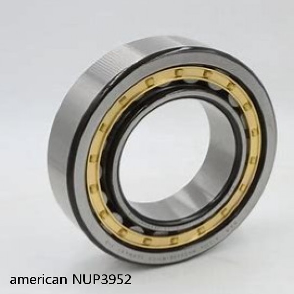 american NUP3952 SINGLE ROW CYLINDRICAL ROLLER BEARING #1 image